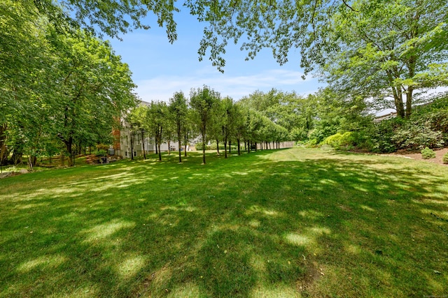 3A Iris Ln, Westport, CT 06880 - photo 30