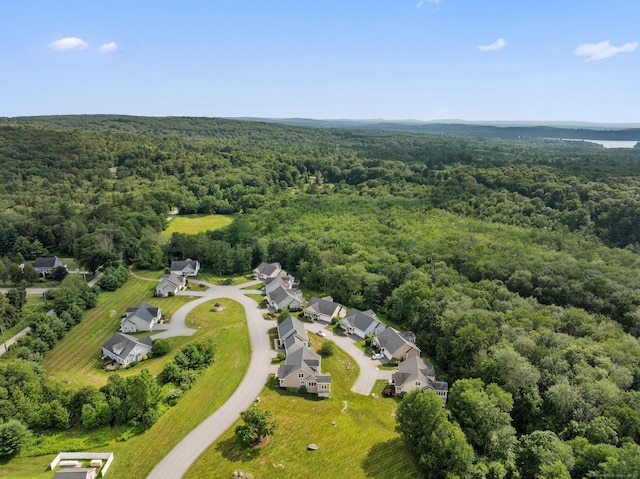 5 Benjamin Ln Unit 5, Tolland, CT 06084 - photo 2