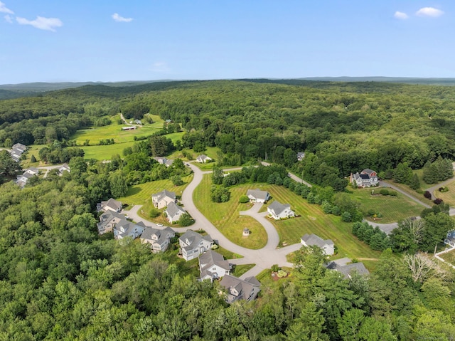 5 Benjamin Ln Unit 5, Tolland, CT 06084 - photo 3