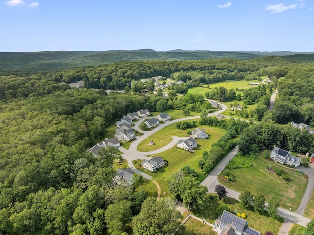 5 Benjamin Ln Unit 5, Tolland, CT 06084 - photo 4