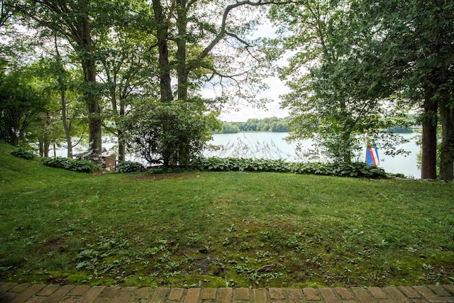 264 Lyman Rd Apt 3-11, Wolcott, CT 06716 - photo 9