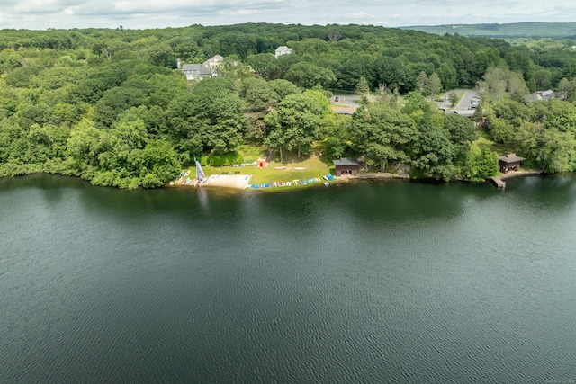 264 Lyman Rd Apt 3-11, Wolcott, CT 06716 - photo 28