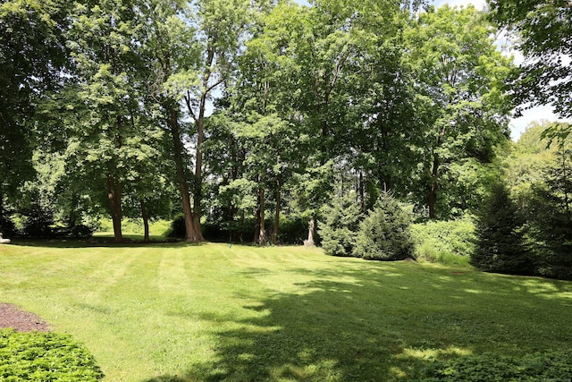 44 E Ridge Rd, Ridgefield, CT 06877 - photo 8