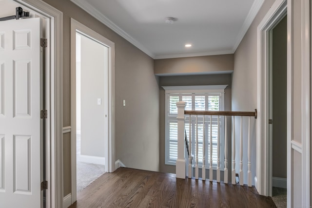 511 Mountain Rd, West Hartford, CT 06117 - photo 17