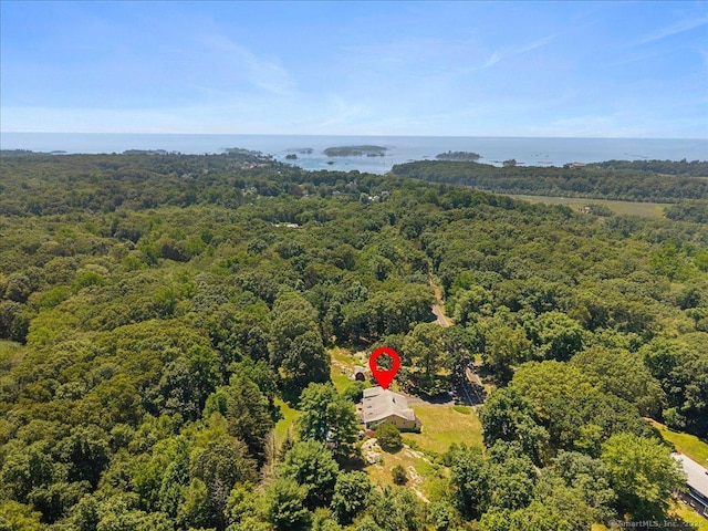 316 Leetes Island Rd, Branford, CT 06405 - photo 34