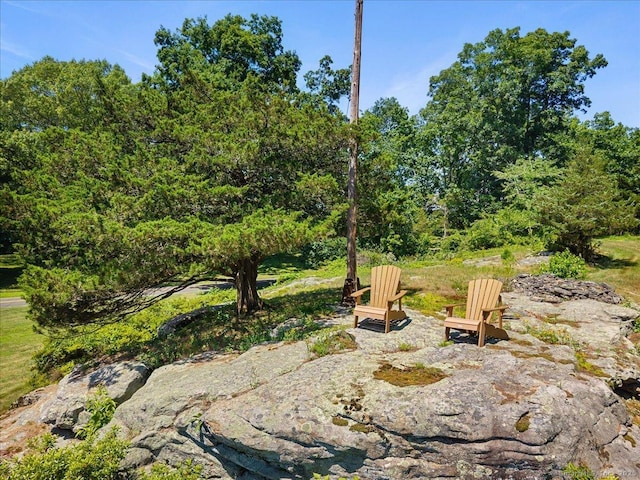 316 Leetes Island Rd, Branford, CT 06405 - photo 28