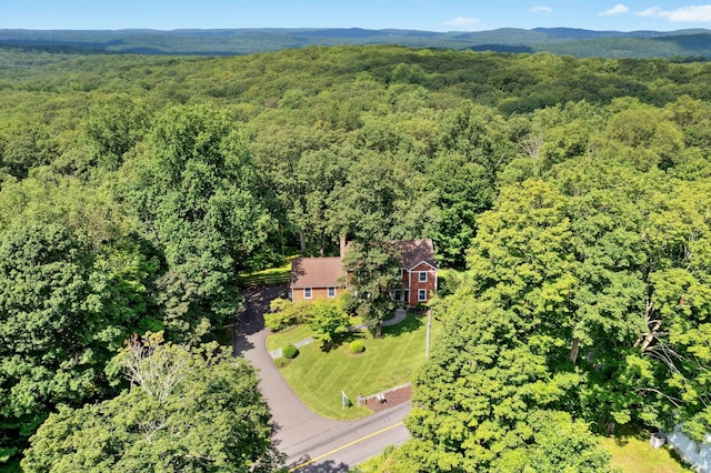 235 Lonetown Rd, Redding, CT 06896 - photo 36