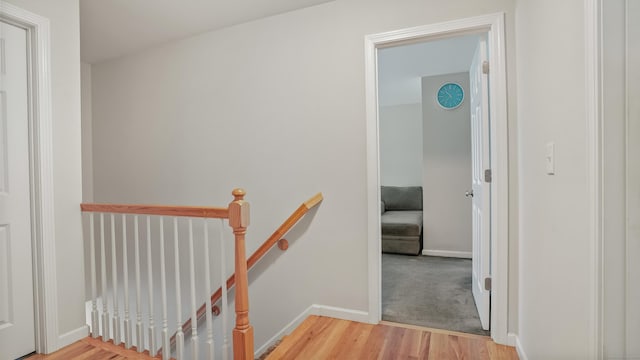 6 Pochong Trl, Shelton, CT 06484 - photo 25