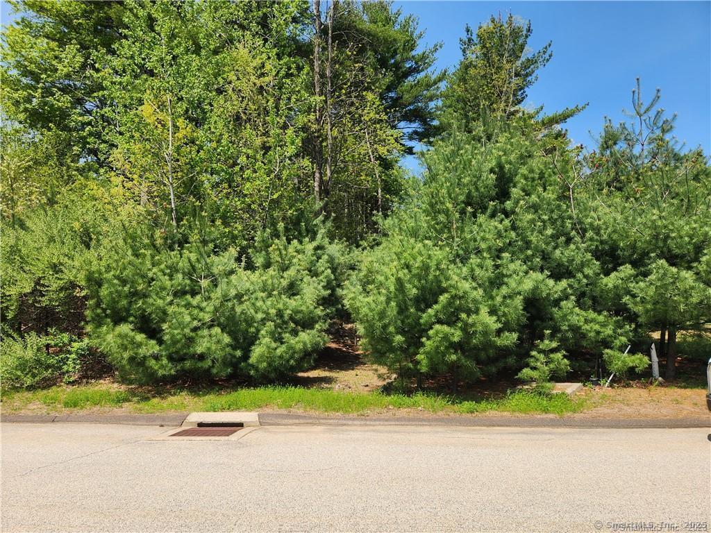 2 Pinewood Ln, Stafford, CT 06076 - photo 1