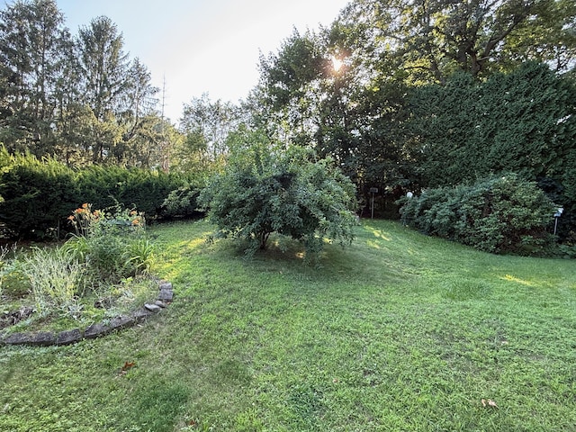 21 Rondy Ln, East Hartford, CT 06108 - photo 28