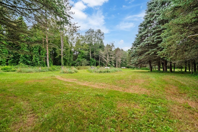 342 Scotland Rd, Norwich, CT 06360 - photo 17
