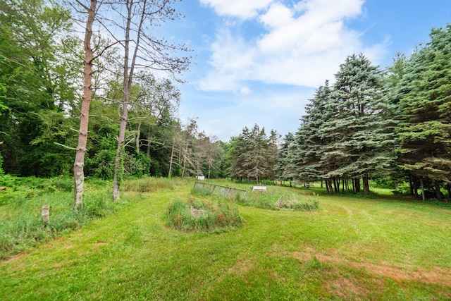 342 Scotland Rd, Norwich, CT 06360 - photo 18