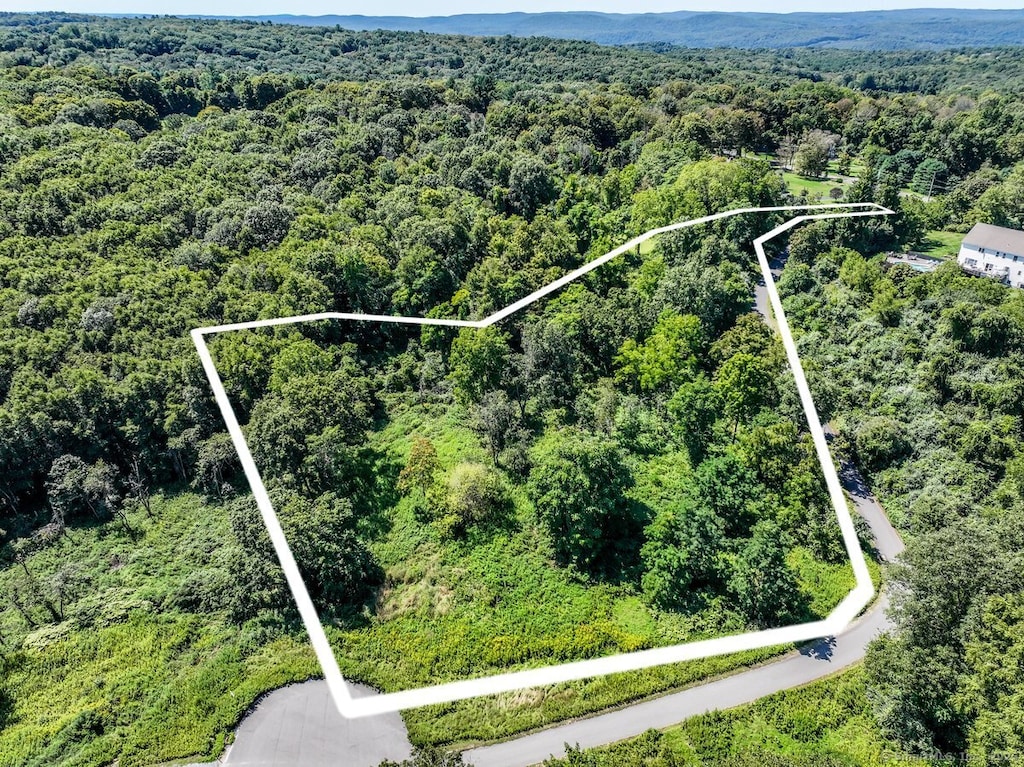 2 Delia Ln, New Milford, CT 06776 - photo 3