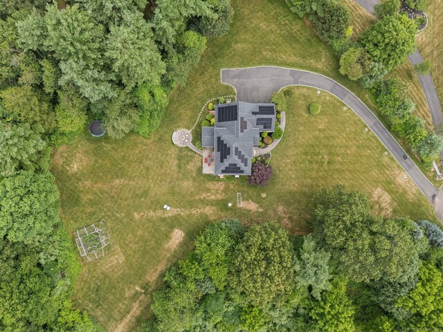 745 Cook Hill Rd, Cheshire, CT 06410 - photo 36