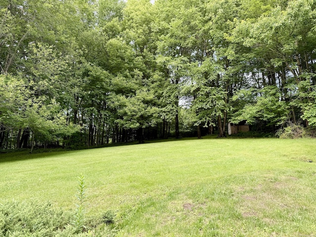 329 Allerton Rd, Naugatuck, CT 06770 - photo 9