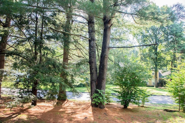 3 Locust Ln Unit 3, Farmington, CT 06032 - photo 36