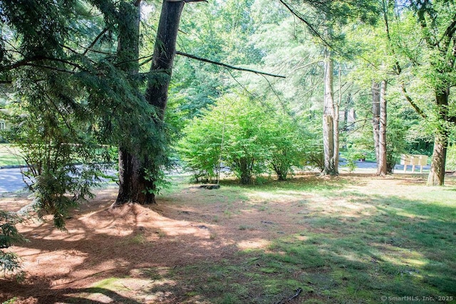3 Locust Ln Unit 3, Farmington, CT 06032 - photo 39