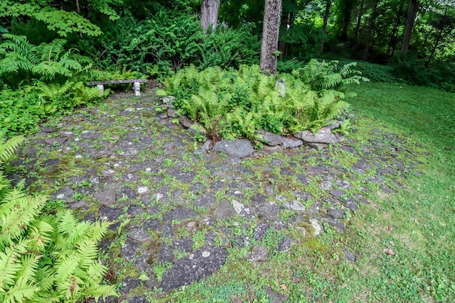 21 Saw Mill Rd, Newtown, CT 06470 - photo 30