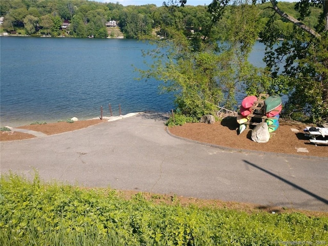 299 Candlewood Mountain Rd, New Milford, CT 06776 - photo 5