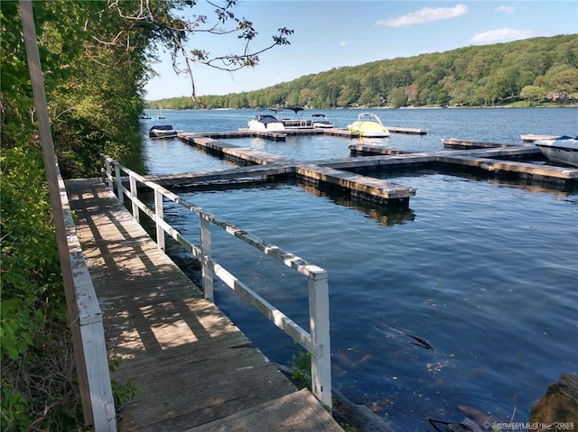 299 Candlewood Mountain Rd, New Milford, CT 06776 - photo 7