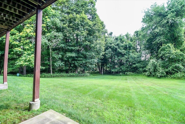 1402 Sienna Dr Unit 1402, Danbury, CT 06810 - photo 34