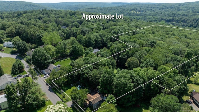 41 Verville Rd, Avon, CT 06001 - photo 4