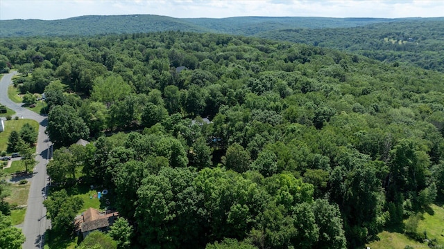 41 Verville Rd, Avon, CT 06001 - photo 7