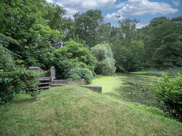 499 Village St, North Branford, CT 06472 - photo 35