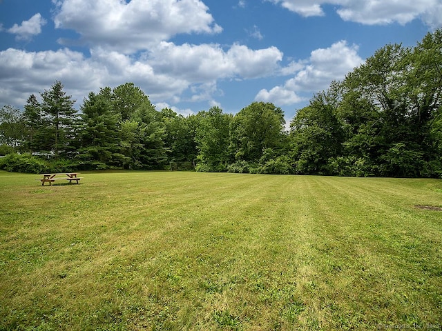 499 Village St, North Branford, CT 06472 - photo 36