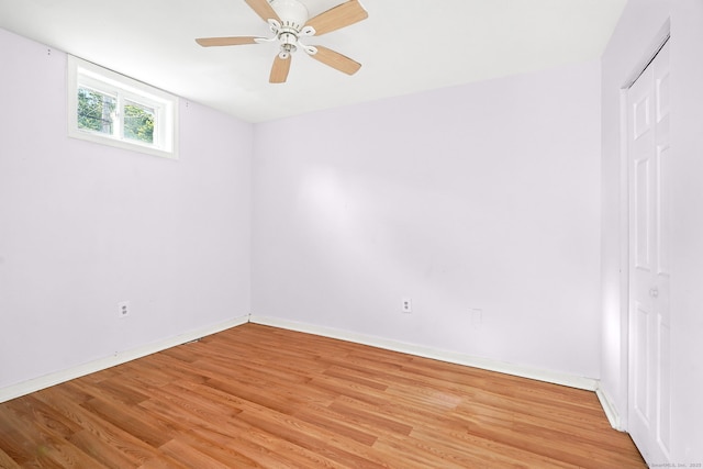 53 Read St, New Haven, CT 06511 - photo 26