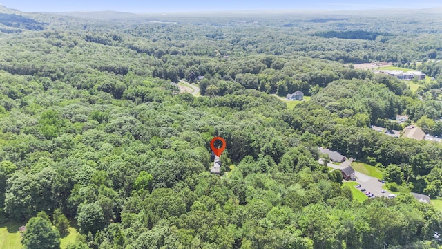 241 Avon Mountain Rd, Avon, CT 06001 - photo 35