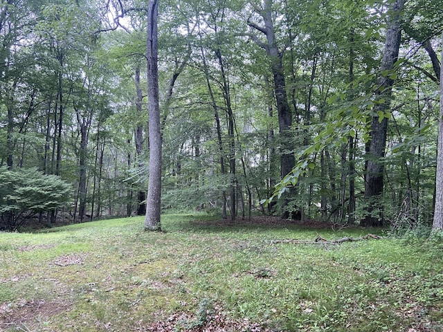 11 Winding Brook Rd, Newtown, CT 06470 - photo 2