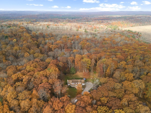101 Center Rd, Woodstock, CT 06281 - photo 9