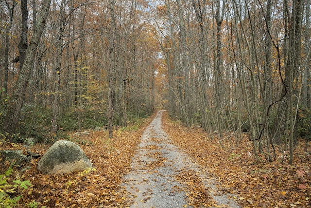 101 Center Rd, Woodstock, CT 06281 - photo 10