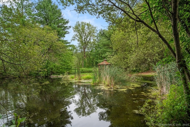 143 Hattertown Rd, Newtown, CT 06470 - photo 5