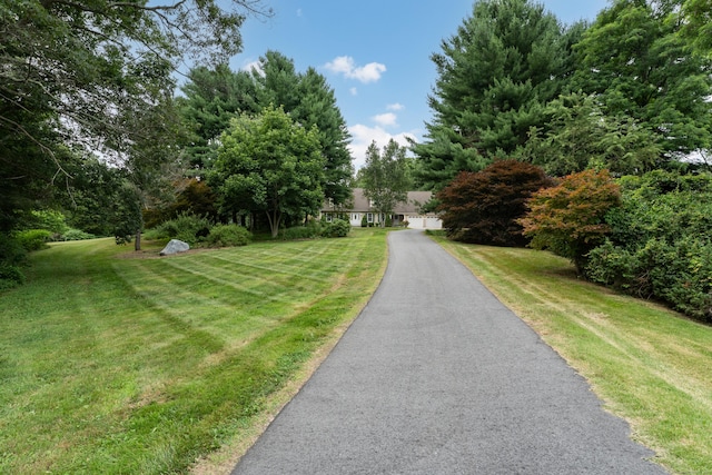 551 Boston Post Rd, Waterford, CT 06385 - photo 11