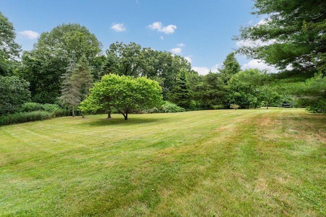 551 Boston Post Rd, Waterford, CT 06385 - photo 3