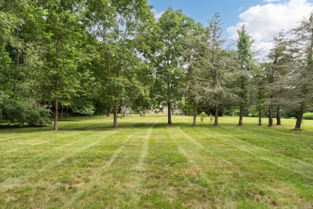 551 Boston Post Rd, Waterford, CT 06385 - photo 6