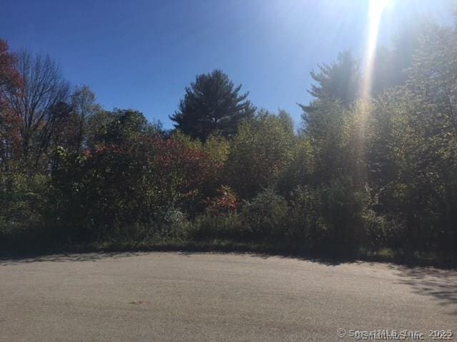5 Pinewood Ln, Stafford, CT 06076 - photo 3