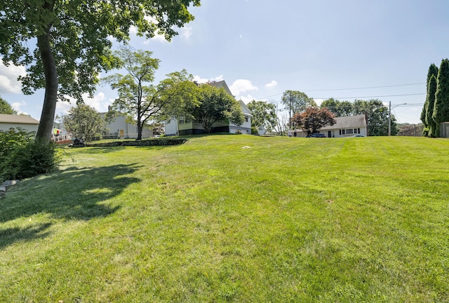 8 Homestead Ave, Derby, CT 06418 - photo 4