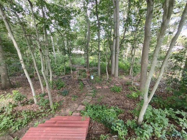 6 Stonegate Ln, Shelton, CT 06484 - photo 27
