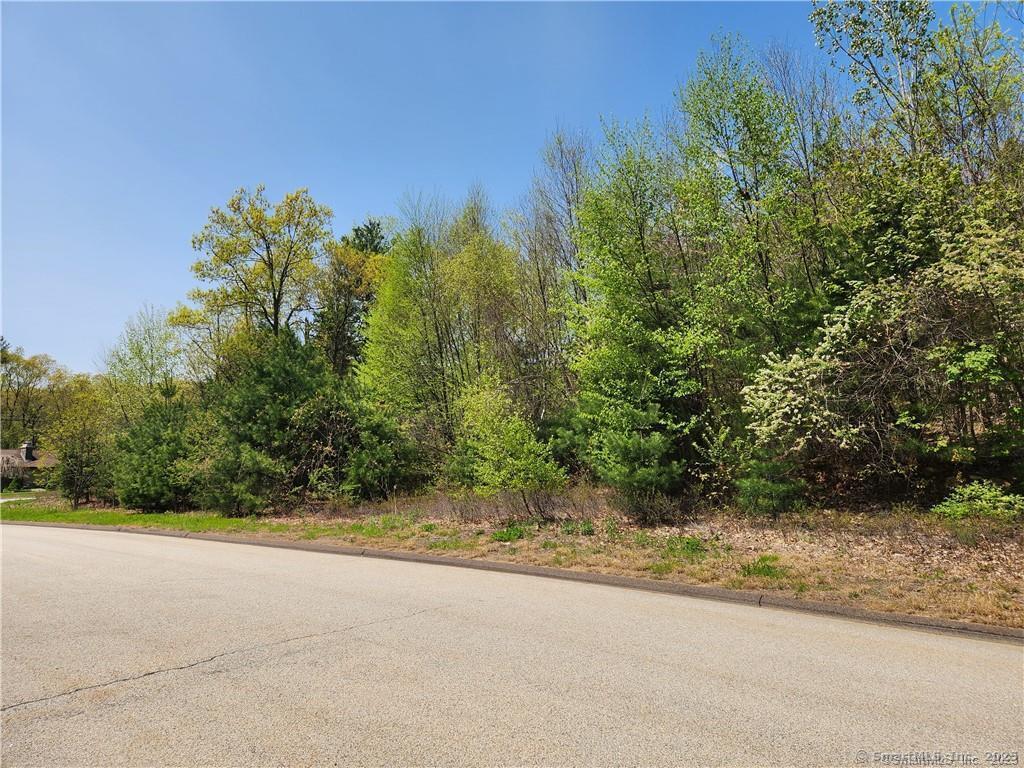4 Pinewood Ln, Stafford, CT 06076 - photo 1