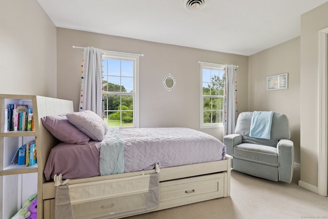 20 Autumn Ct, Cheshire, CT 06410 - photo 20