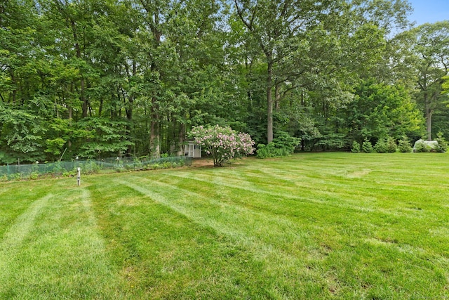 20 Autumn Ct, Cheshire, CT 06410 - photo 33
