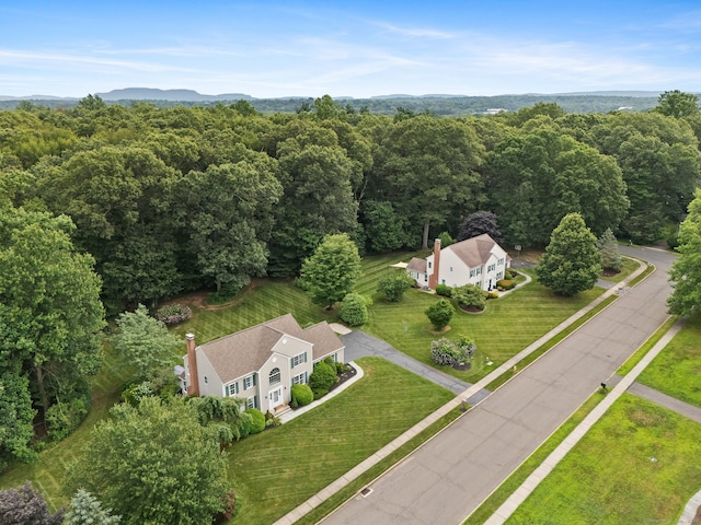 20 Autumn Ct, Cheshire, CT 06410 - photo 38