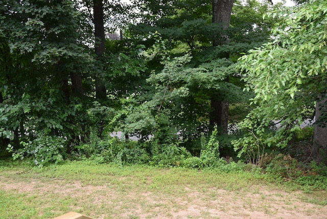 38 Rushford Meade, Granby, CT 06035 - photo 29