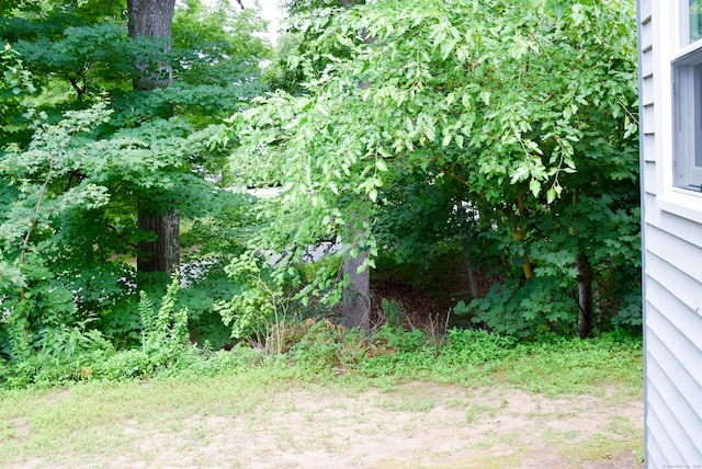 38 Rushford Meade, Granby, CT 06035 - photo 30