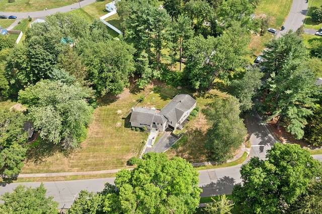 136 Crescent Cir, Cheshire, CT 06410 - photo 34