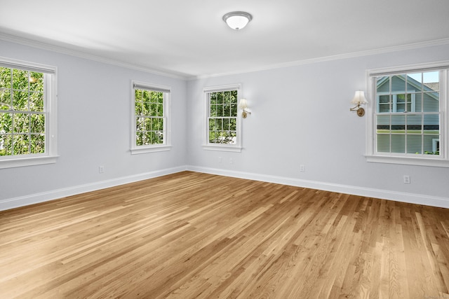 347 W Ave, Darien, CT 06820 - photo 15
