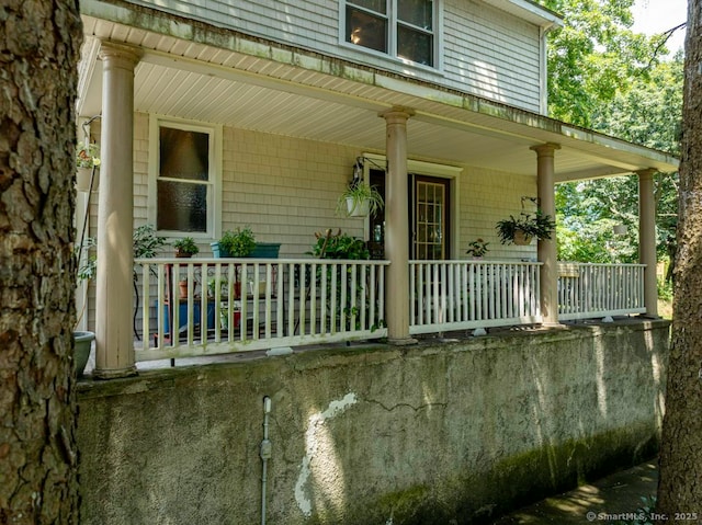 23 Lydia St, West Haven, CT 06516 - photo 30